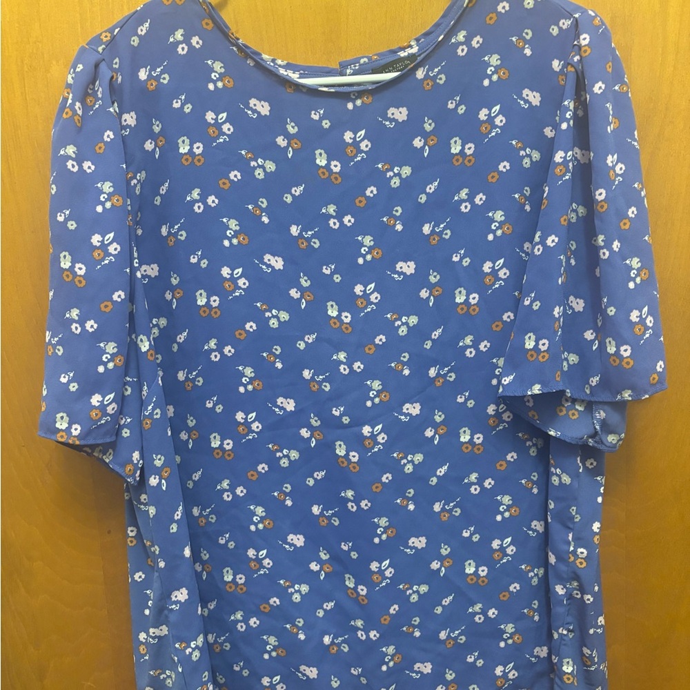 Ann Taylor blouse